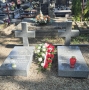 groby poległych żołnierzy na cmentarzu