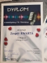 dyplom