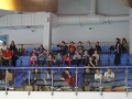 Kibice