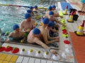 wyścigi w wodzie